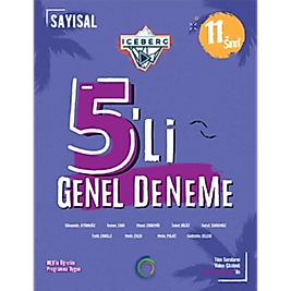 11. Sınıf Iceberg 5'li Sayısal Deneme